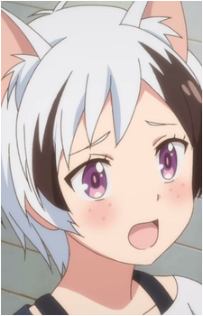 Image 7 Image 7