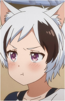 Image 4 Image 4