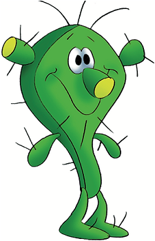 Pincho's image