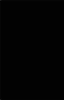 Image 27