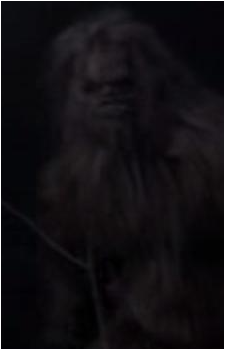 Yeti {PF}