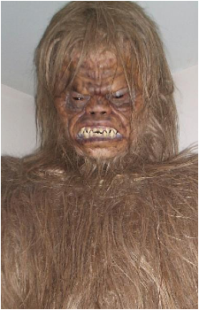 Yeti {PF}'s image