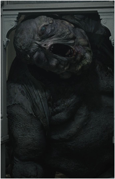 Chunk's image