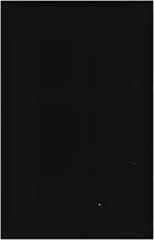 Image 30