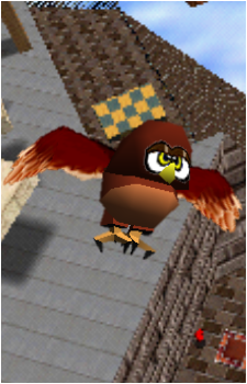 Hoot's image