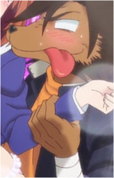 Kogarashi Fuyuzora