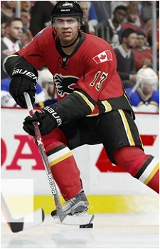 Johnny Gaudreau's image