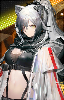 Schwarz's image