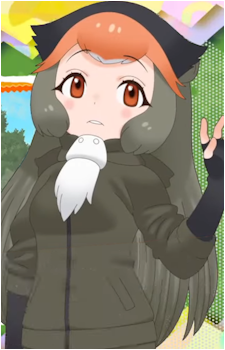 De Brazza's Monkey