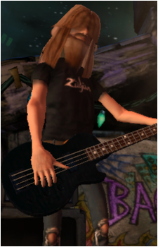 Bassist's image