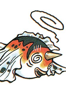 Image 47