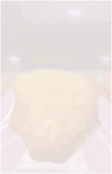 Rice Shower