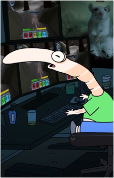 Shrimp's image