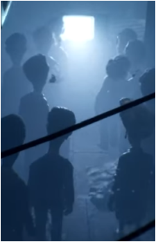 The Viewers