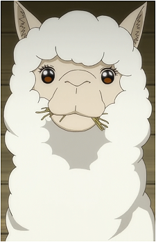Alpaca's image