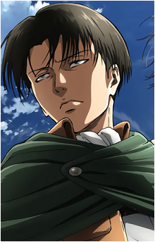 Image 29 of Levi