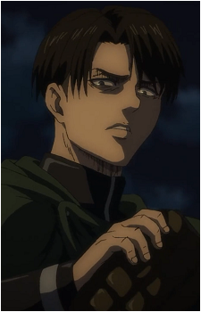 Image 44 of Levi