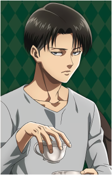 Image 56 of Levi
