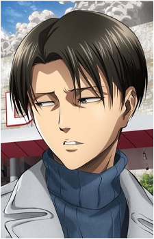 Image 31 of Levi