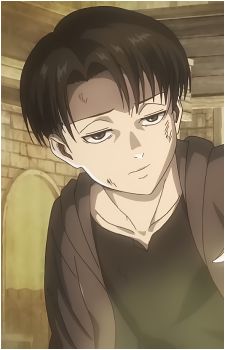 Image 39 of Levi