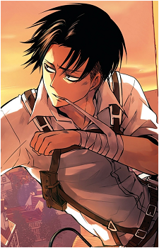 Image 35 of Levi