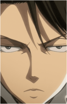 Image 69 of Levi