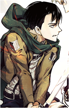 Image 45 of Levi