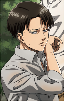 Image 54 of Levi