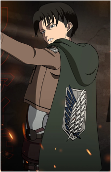Image 57 of Levi