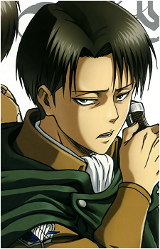 Image 28 of Levi