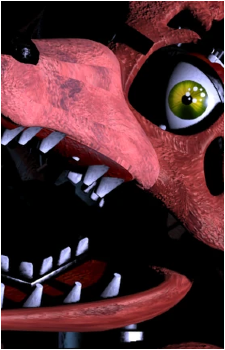 Image 21