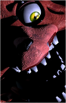 Image 22