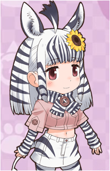 Mountain Zebra