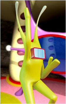 Yaroo's image