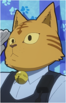 Sansa Tamakawa's image