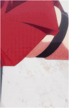 Zuikaku {AL}
