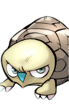 Silver Shield's image