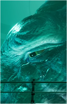 Blake Hudson's image