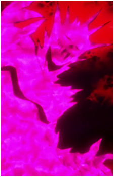 Image 3 Image 3