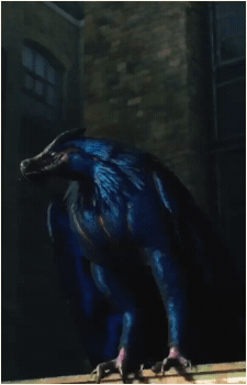 Image 3 of Griffon