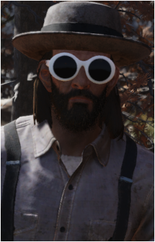Sage {FO76}'s image