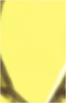 Image 2 Image 2