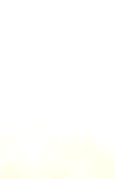 Image 33