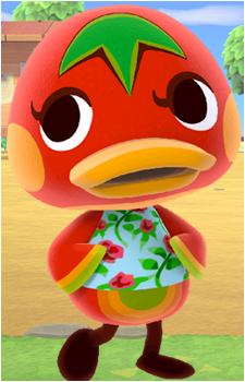 Ketchup