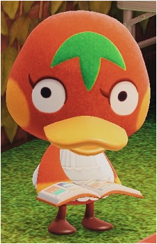 Ketchup