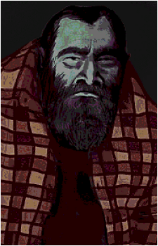 Bearded Huntsman's image