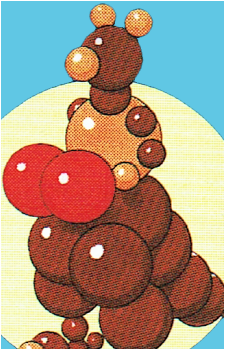 Bounder's image