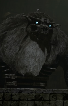 Barba's image