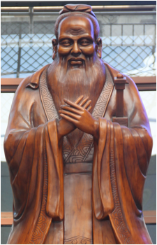 Image 14