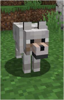 Wolf's image